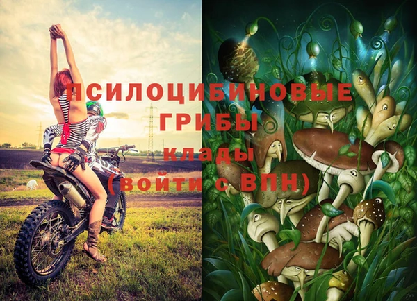 кокаин перу Иннополис