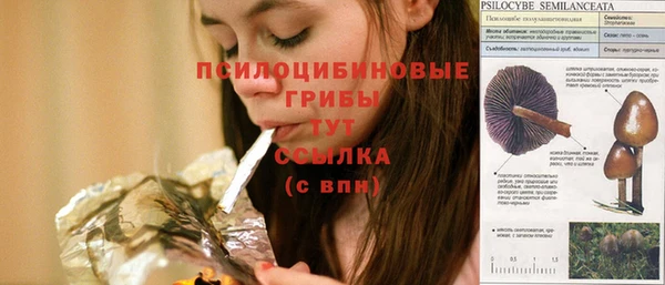 MESCALINE Инсар