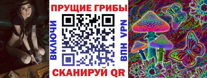 Галлюциногенные грибы мицелий  Купить  Котельники 